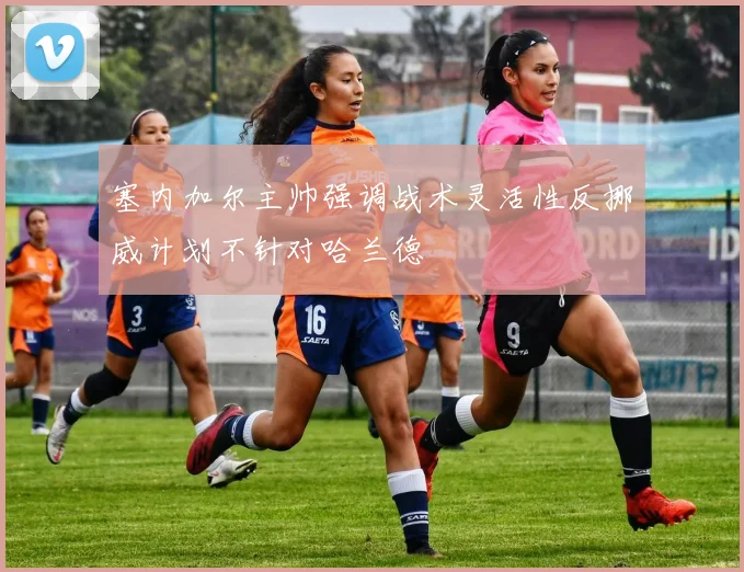塞内加尔主帅强调战术灵活性反挪威计划不针对哈兰德
